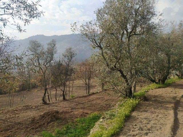 Rustic house to rebuild in Cinfães
