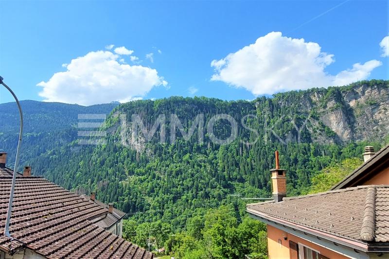 A nest surrounded by nature