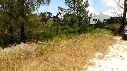 Ground 1170 M2 - Zone- ALGARVE-Vale da Telha- Aljezur - Algarve