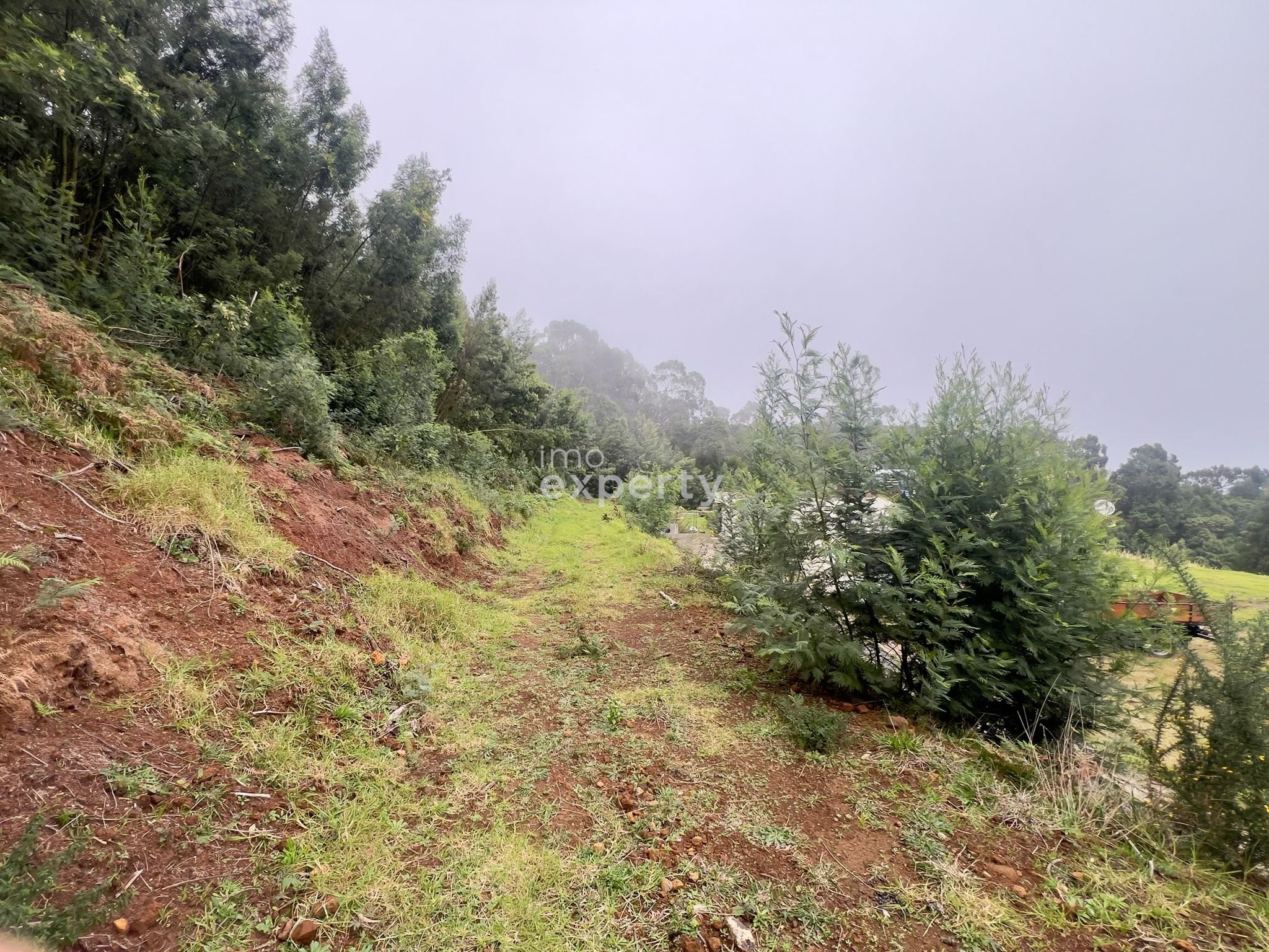 Rustic land with 65,600m² in Água de Pena, Madeira