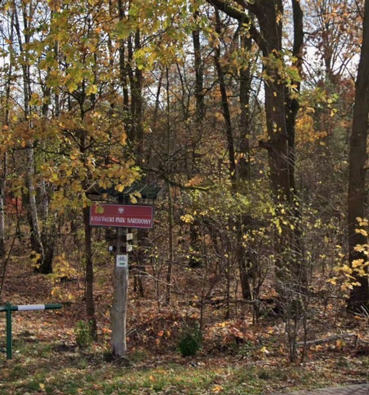 Land Plot for sale, mazowieckie warszawski zachodni (Łomianki, Poland)