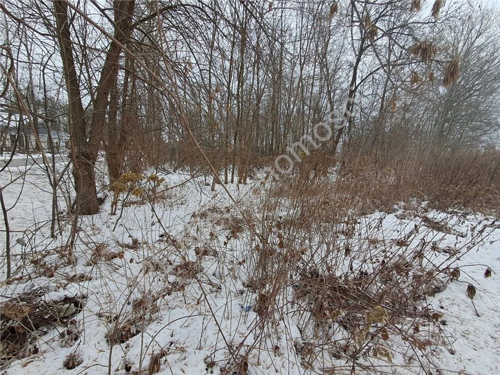 Land Plot for sale, mazowieckie grodziski (Jaktorów, Poland)