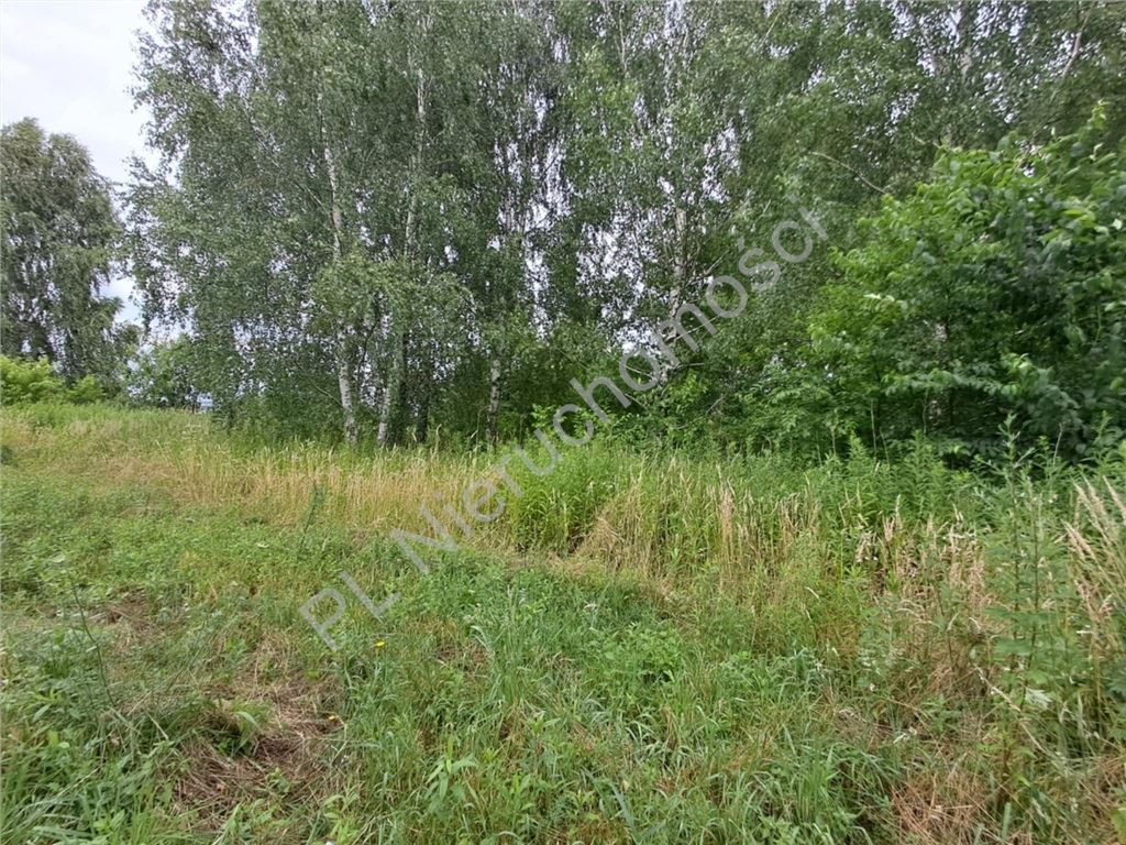 Land Plot for sale, mazowieckie grodziski (Żabia Wola, Poland)