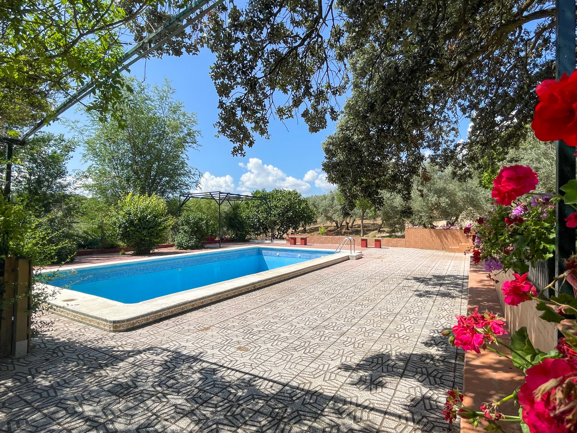 Lovely cortijo with seperate apartment and pool