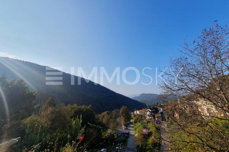 Renovation opportunities with roof design and extension