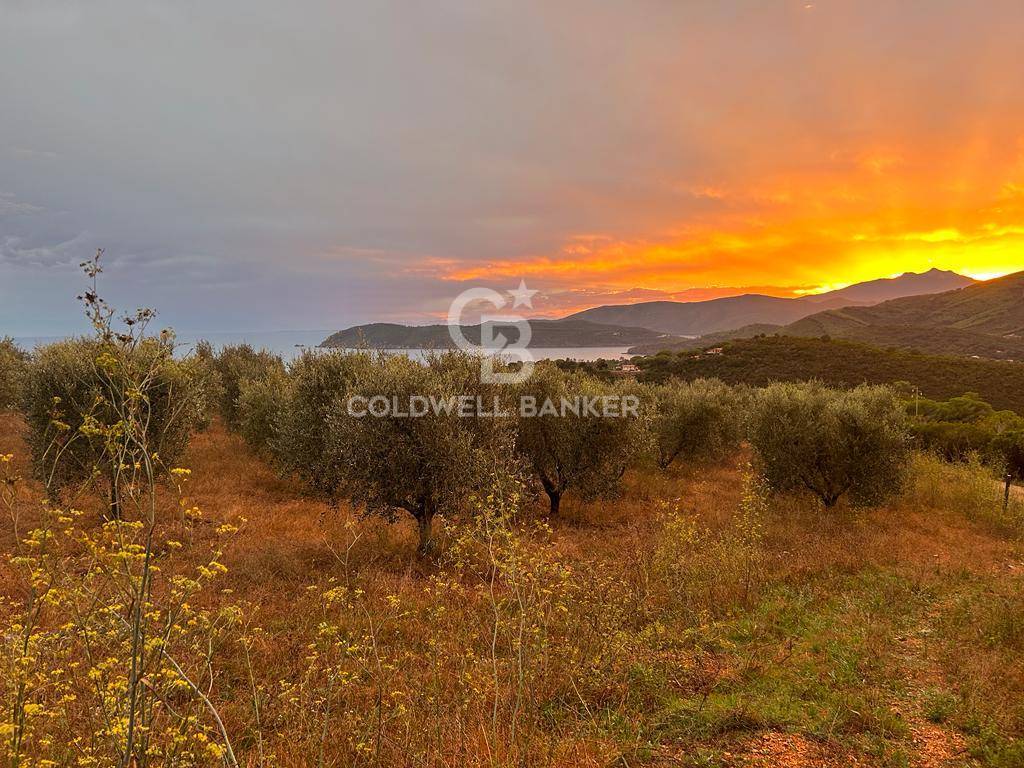 Land Plot for sale in Province of Livorno, Italy