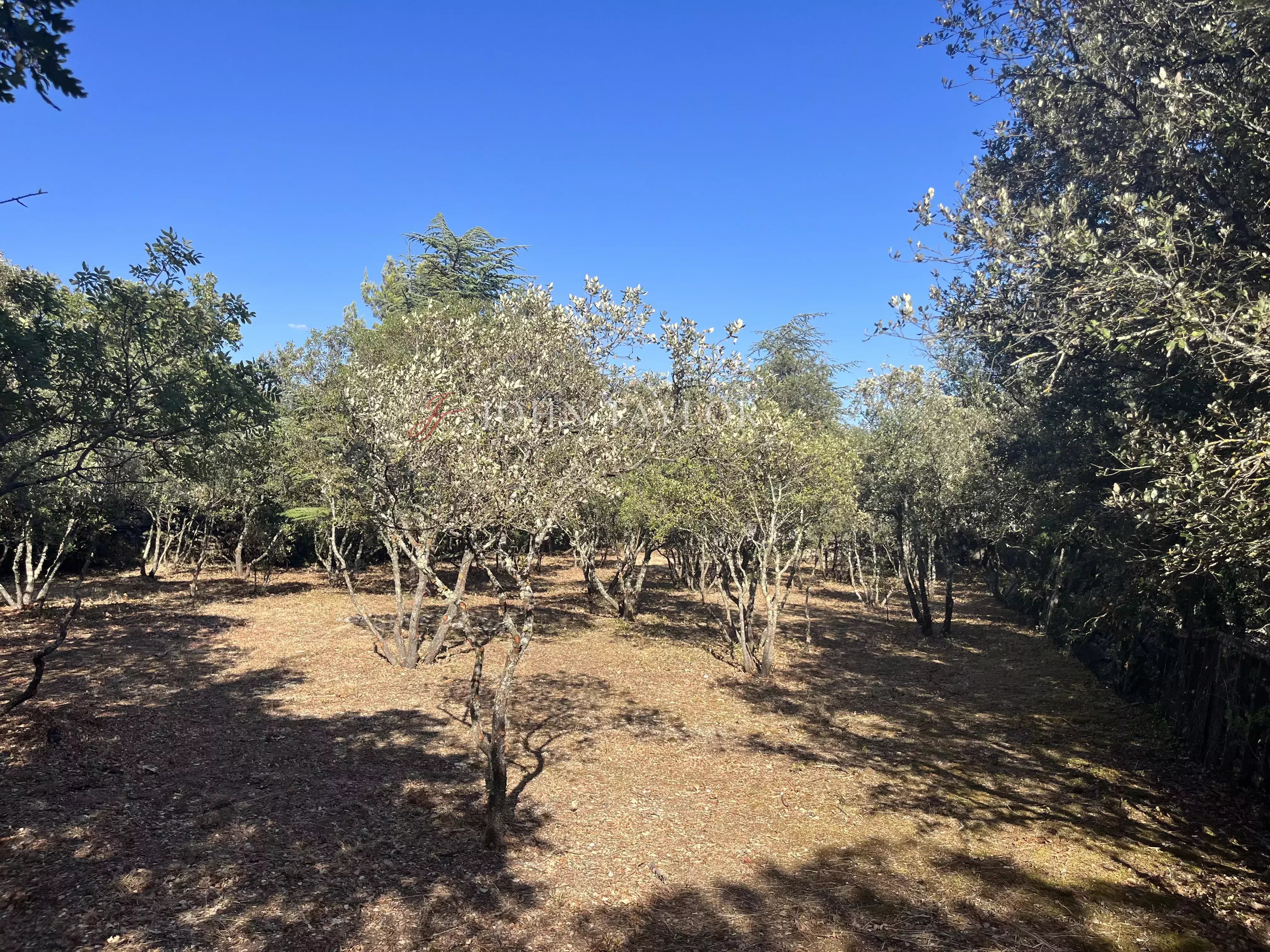 Building plot in Cabrières-d'Avignon