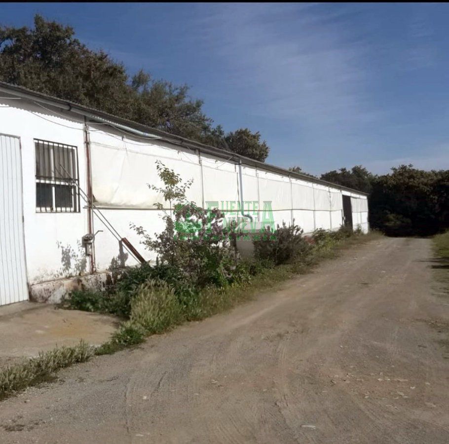 Industrial Warehouse for Sale Badajoz