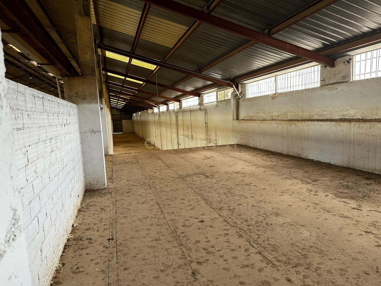 Unique opportunity: 20,000 square meter land with large warehouse in excellent location