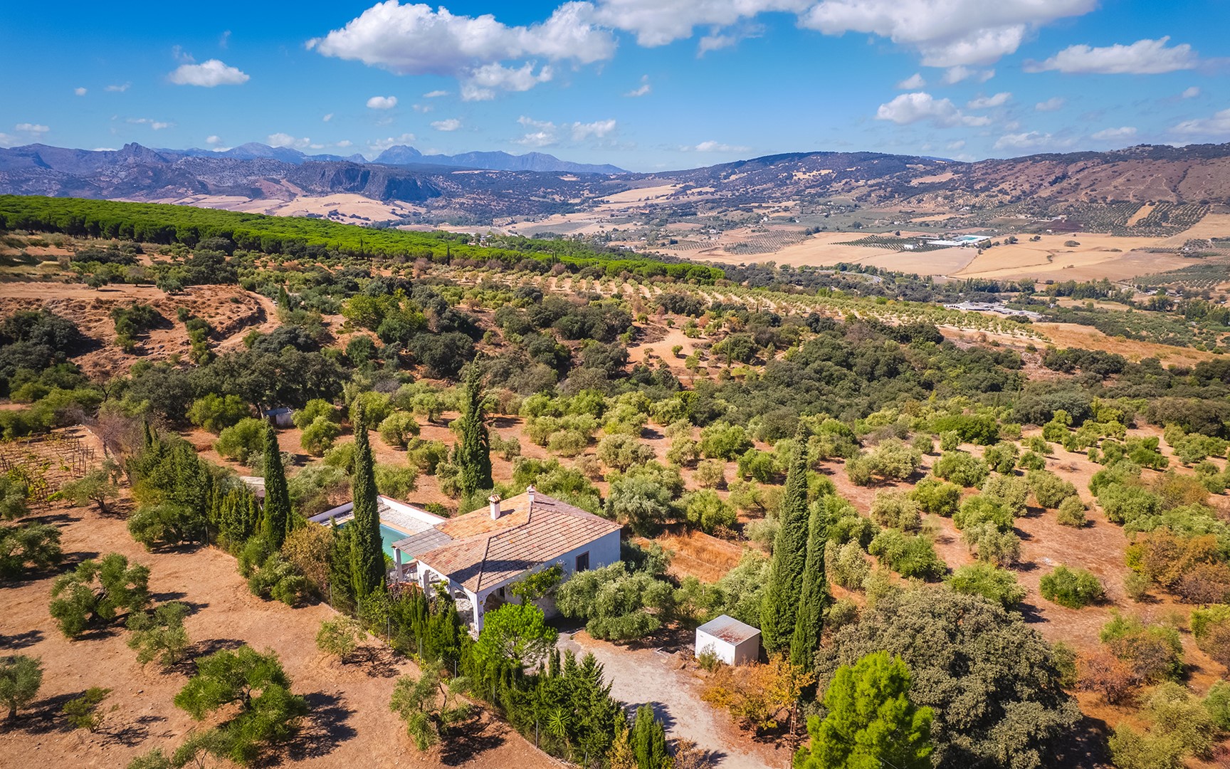 Charming rustic finca with olive trees just 2km from the centre of Ronda