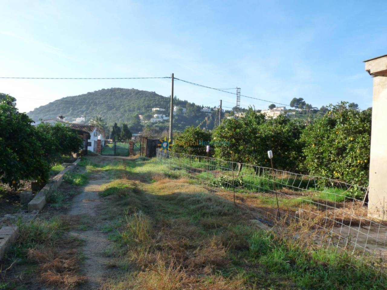 Plot for sale in Oliva