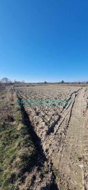 Land Plot for sale, mazowieckie pruszkowski (Raszyn, Poland)