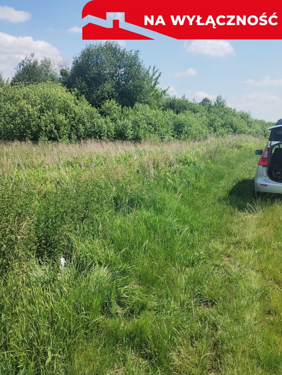 Land Plot for sale, lubelskie puławski (Pulawy, Poland)
