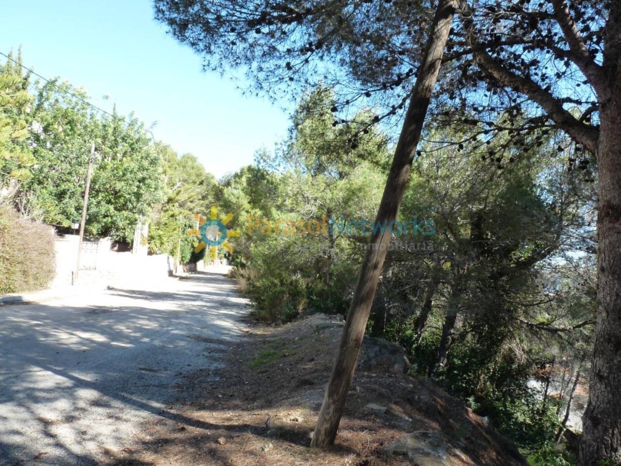 Plot for sale in Oliva