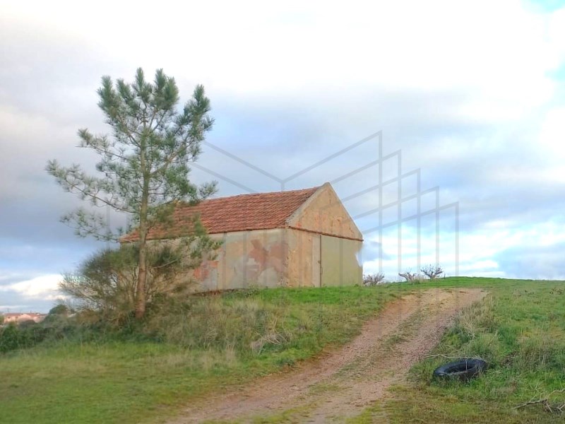 Rustic land for construction.