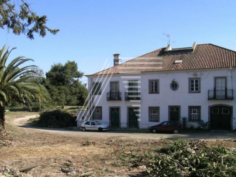 Residential Building in Jamor: Unique Investment Opportunity for condominium or excellent villa with large garden