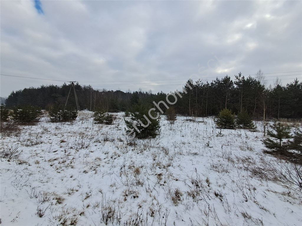 Land Plot for sale, mazowieckie żyrardowski (Mszczonow, Poland)