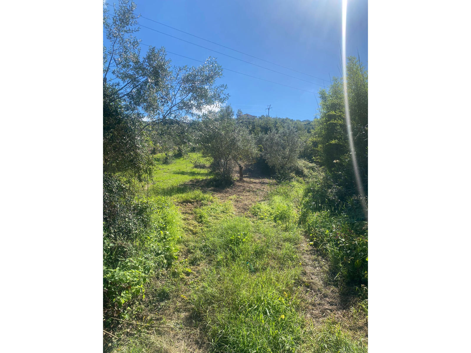 Land Plot for sale, campania salerno (Agropoli, Italy)