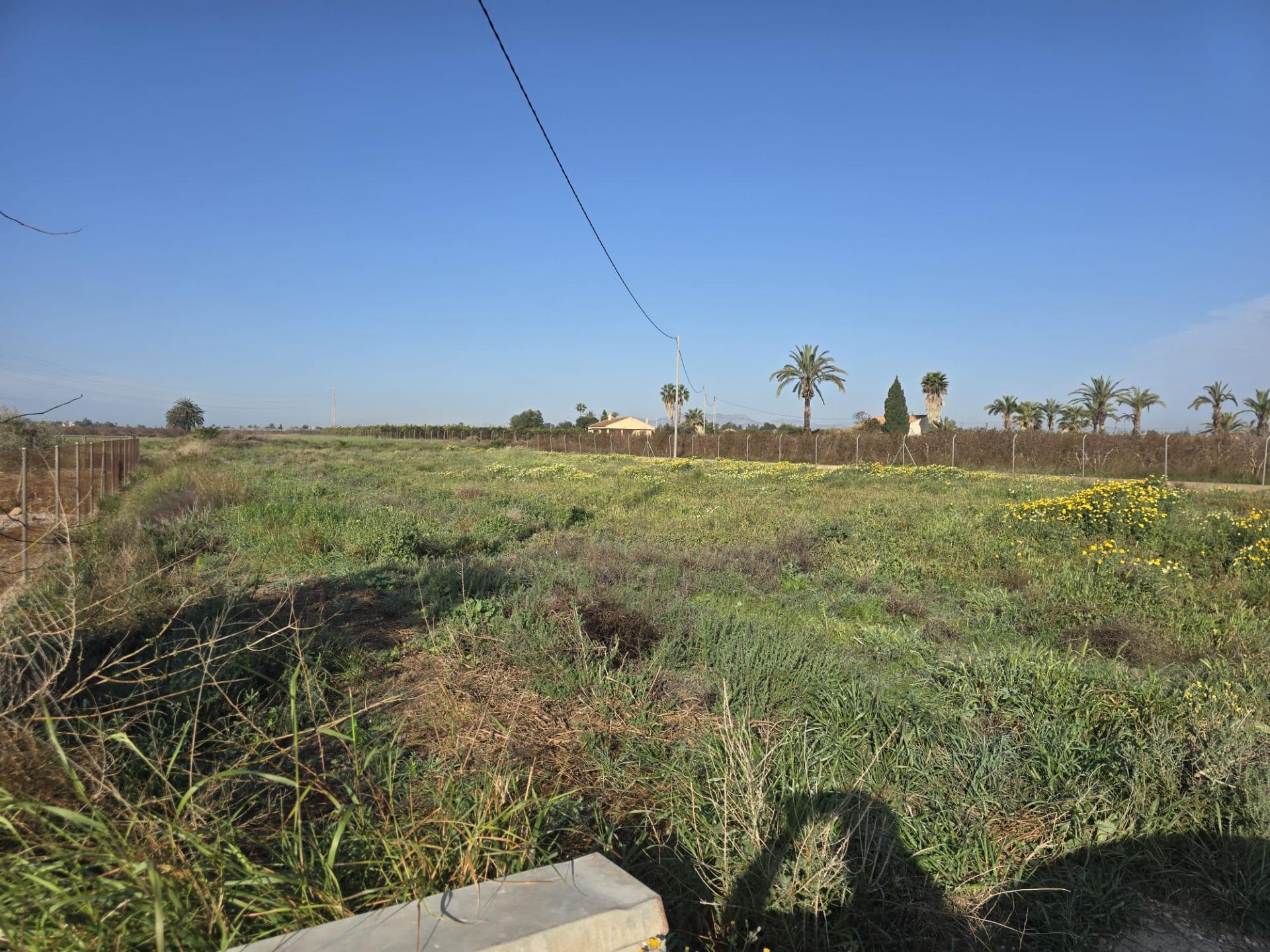 Land Plot for sale in Muncipality of Elche, Spain