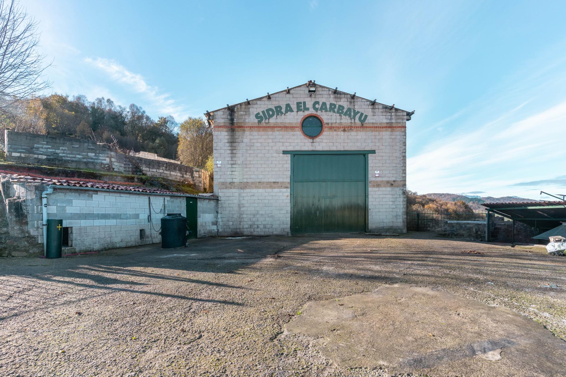 Impressive 8,000 m2 Finca with Industrial Warehouse, Stone House and Panoramic Views