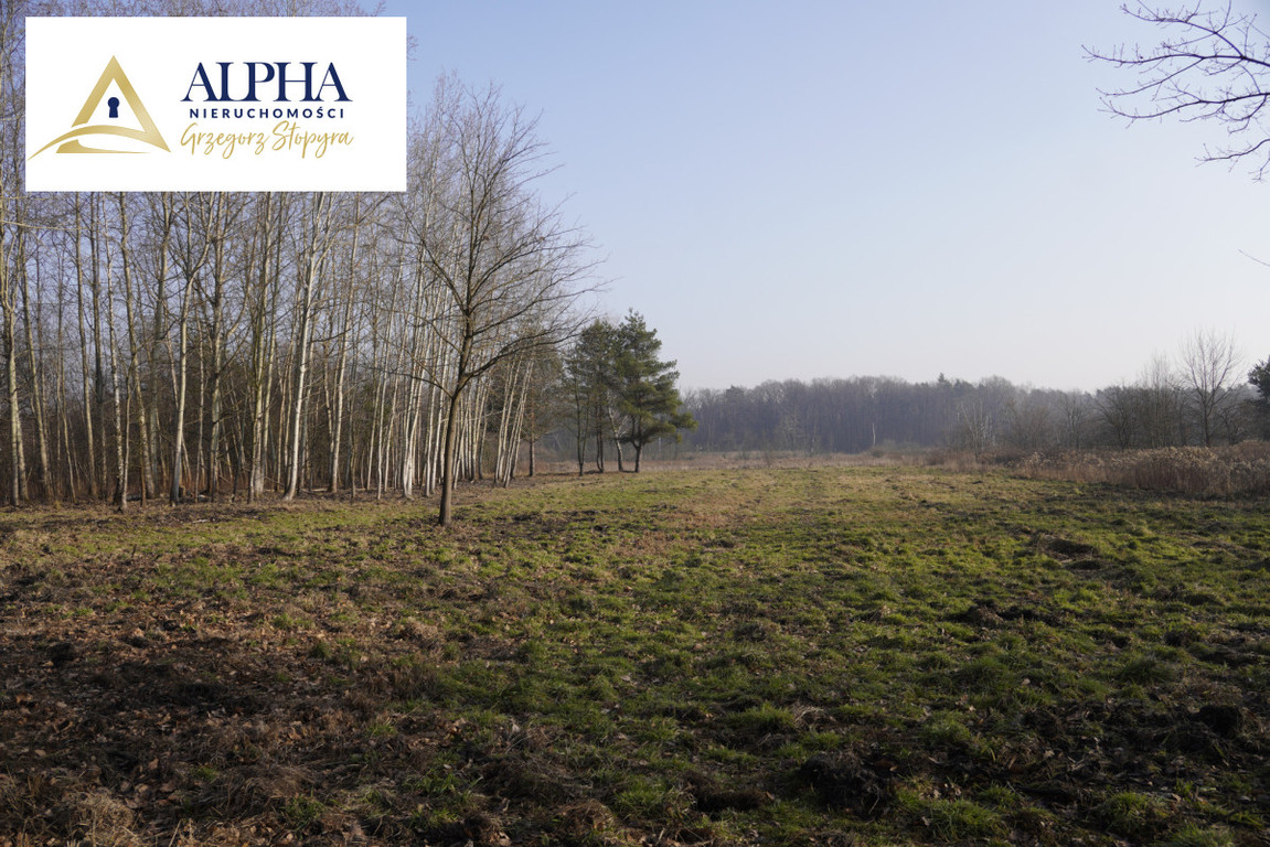 Land Plot for sale, mazowieckie pruszkowski , Rozmarynu (Michałowice, Poland)