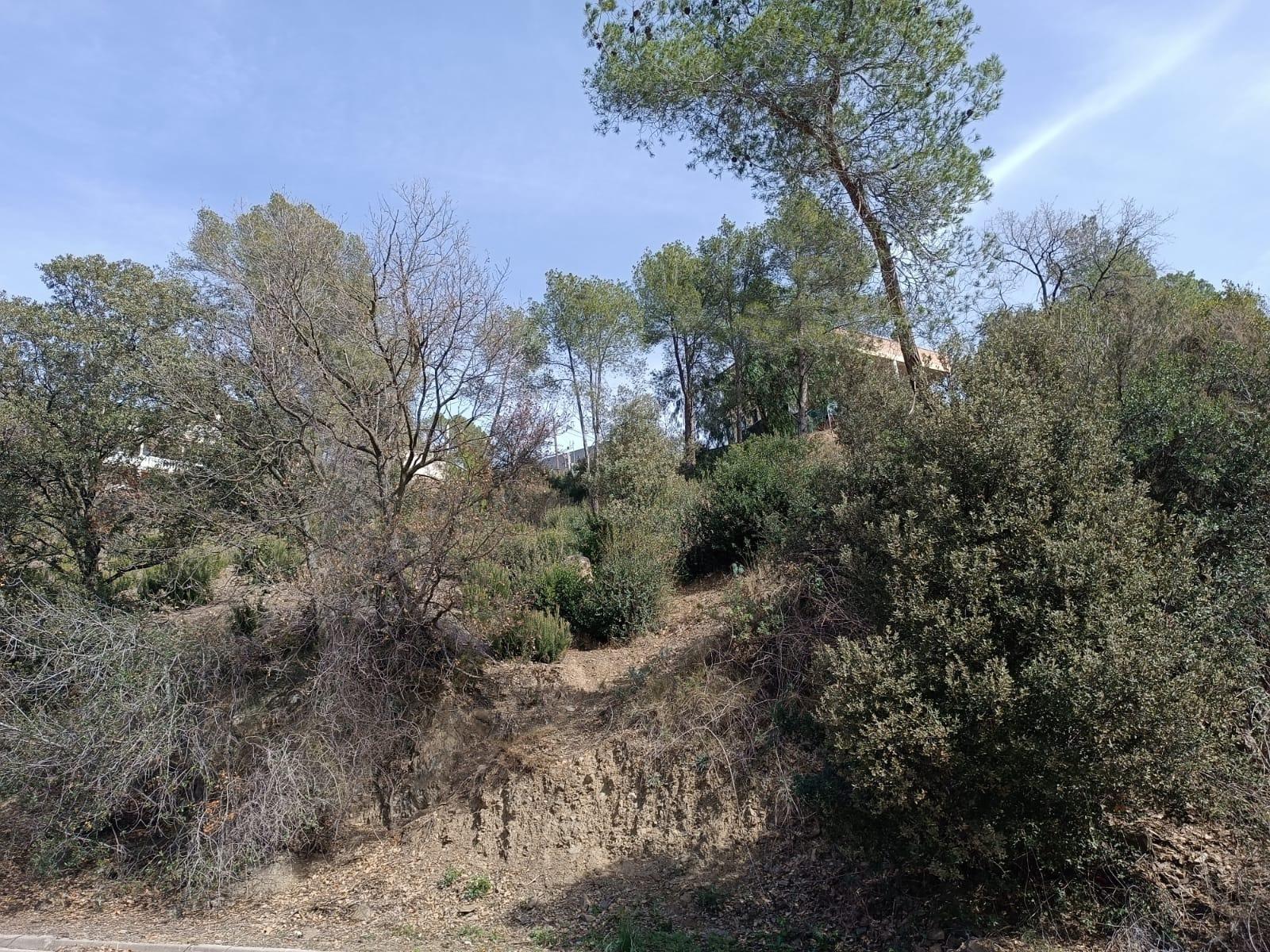 GREAT PLOT OF LAND IN CAN VINYALS