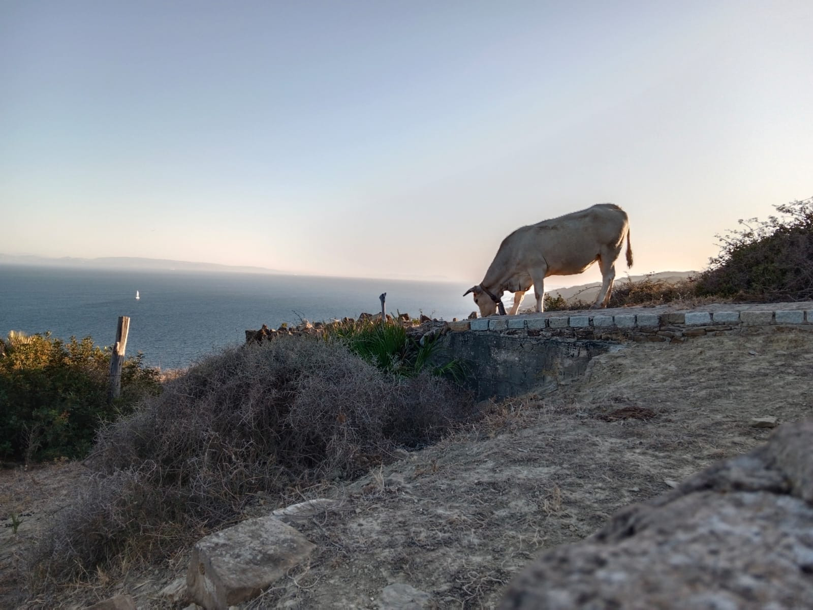 Unique Property: Rustic estate 50 meters from the sea in Tarifa, Cádiz