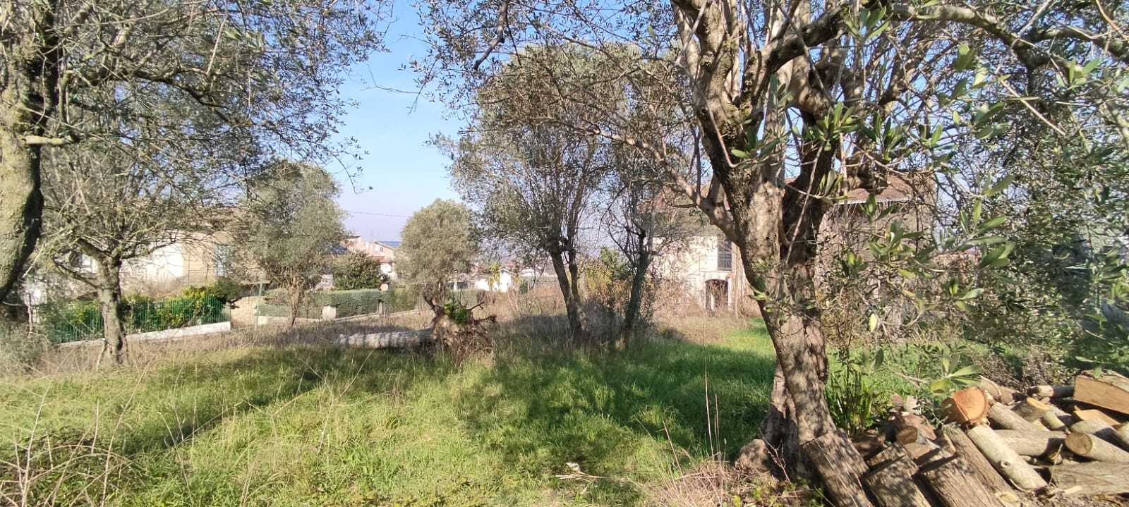 Land Plot for sale in Province of Benevento, Italy