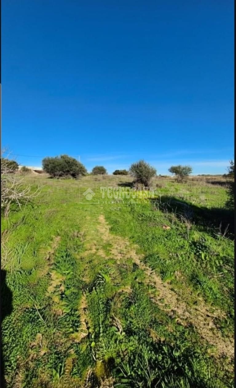 Land Plot for sale in Conil de la Frontera, Spain