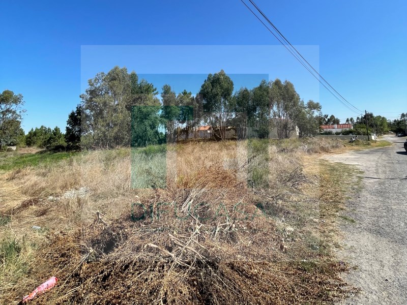 Building Land with 5046.62 m2