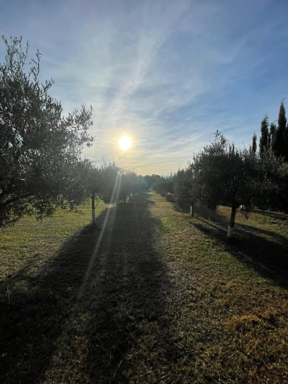 Country house For sell in Jerez De La Frontera in Cádiz