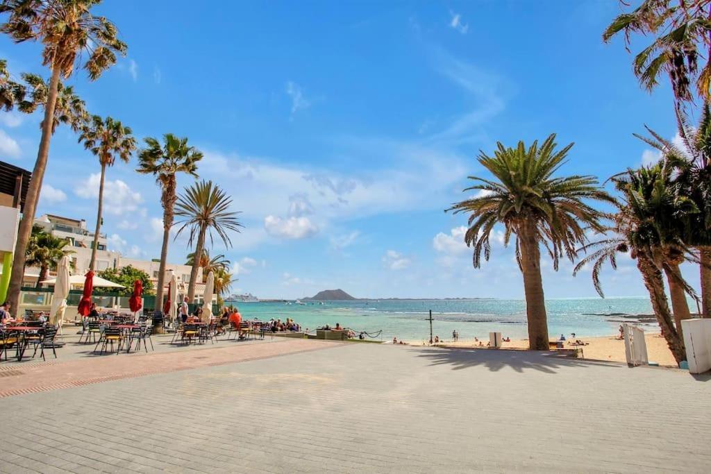 Study in Hoplaco, Corralejo.