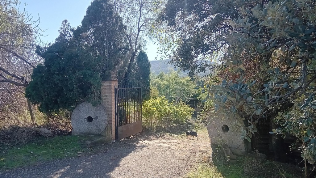 Rustic land For sell in Navalucillos, Los in Toledo