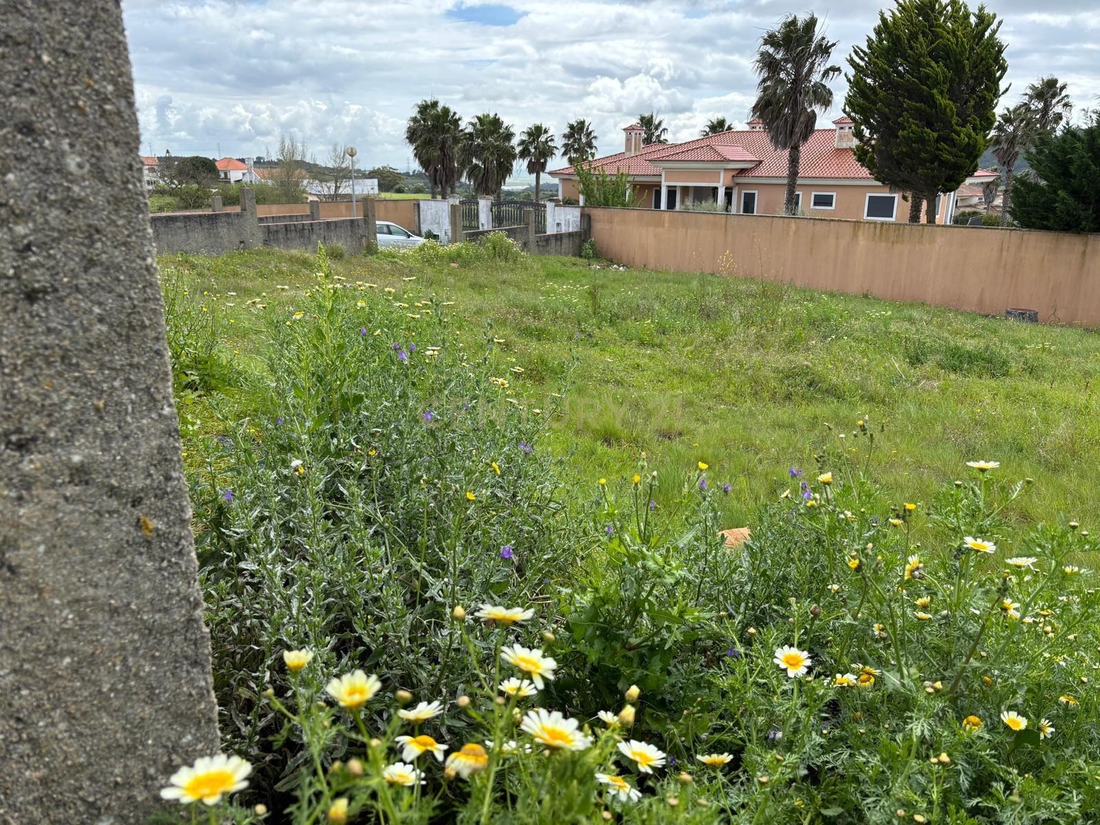 Land with approved project - House T5