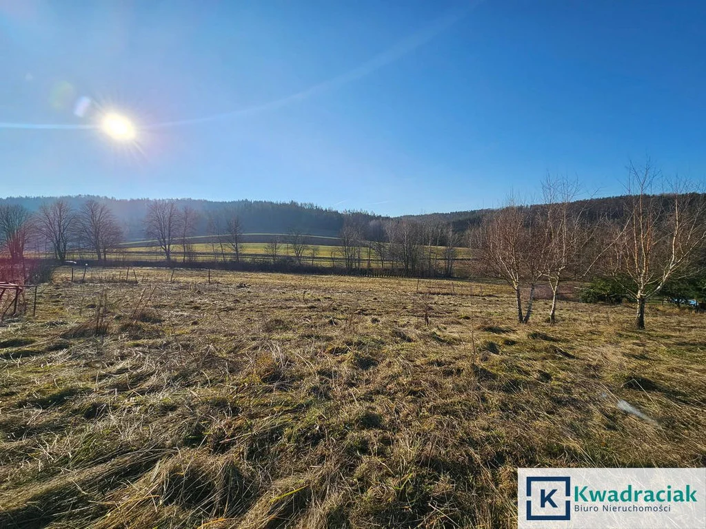 Land Plot for sale, podkarpackie leski (Solina, Poland, Poland)