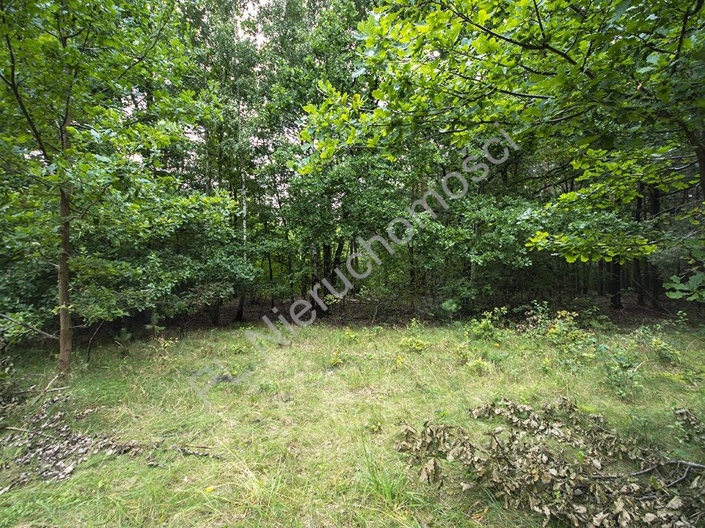 Land Plot for sale, mazowieckie grodziski (Grodzisk Mazowiecki, Poland)