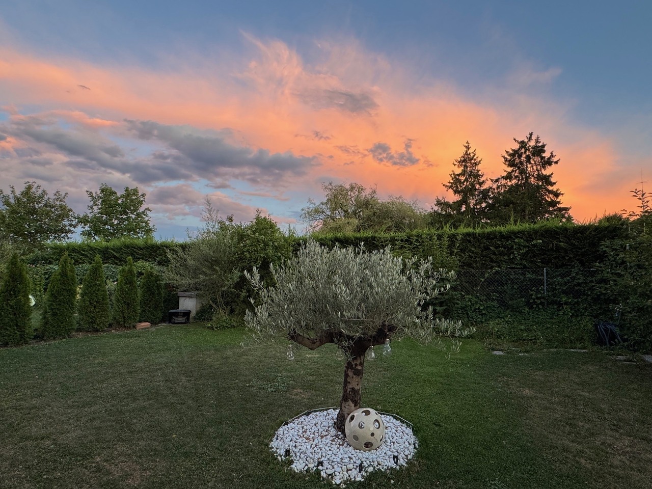 Contemporary and resolutely open to the outside