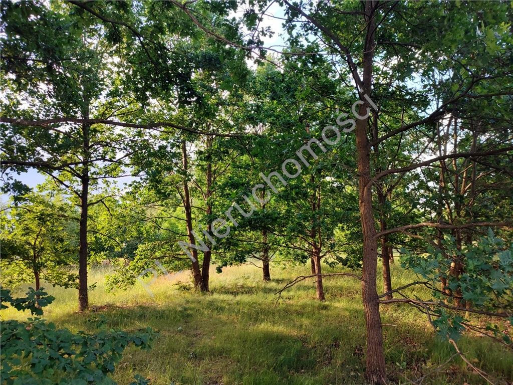 Land Plot for sale, mazowieckie żyrardowski (Żyrardów, Poland)