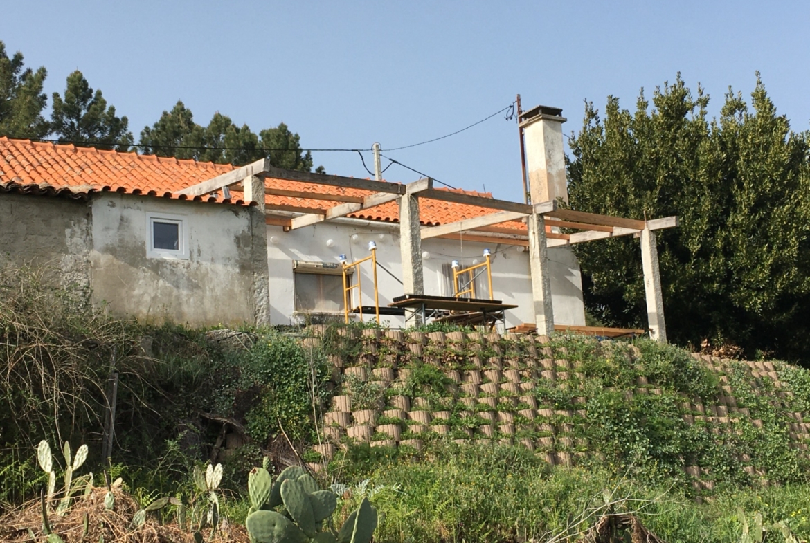 Certified Organic Farm with almost 7 Hectares , Living House and another Stone building to recover, many Self water , many vari…