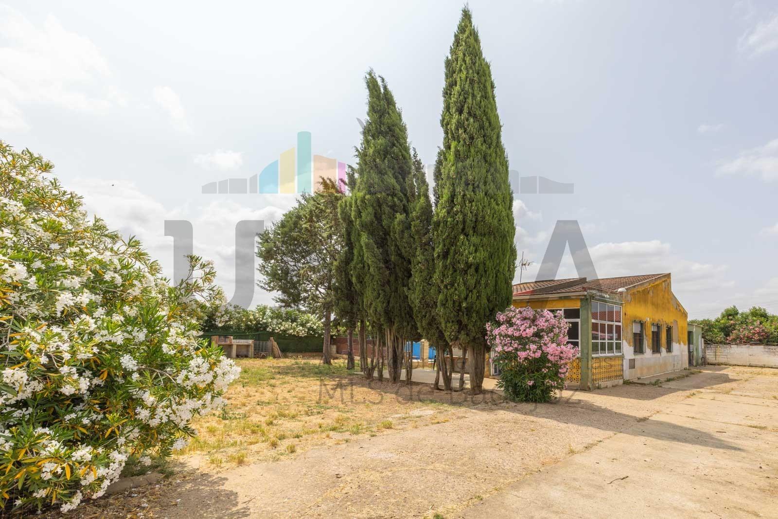 LARGE PLOT FOR SALE TO INVEST IN THE CARRETERA DE LA CORTE