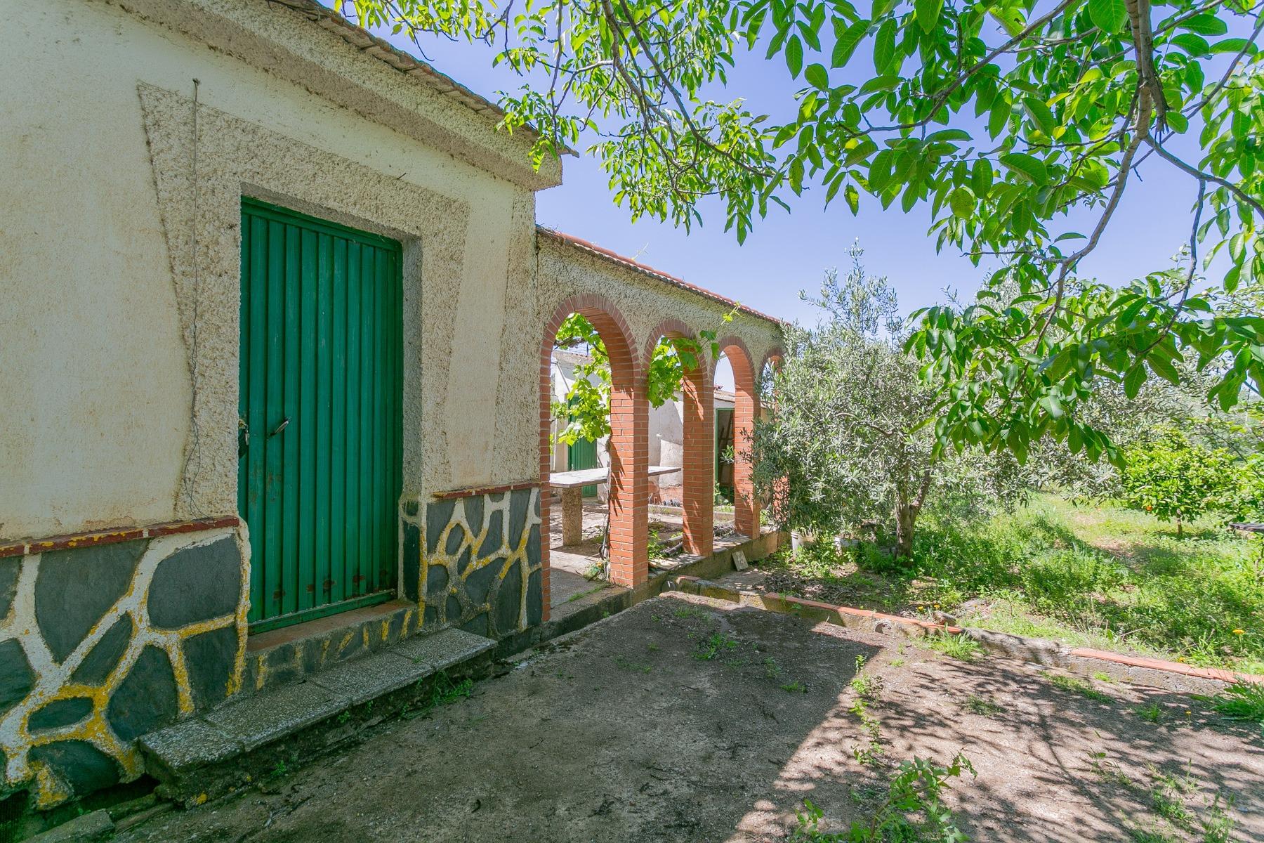 "Live life in the country! Land with tool house and olive and fruit orchards in ve
