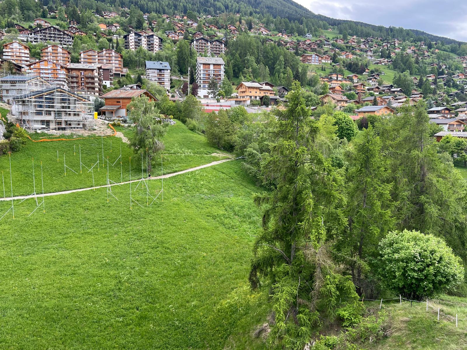 Lot of 2 beautiful plots of land