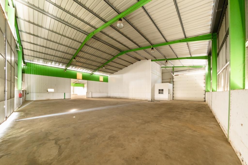 Industrial Warehouse with High Potential – Salvaterra de Magos