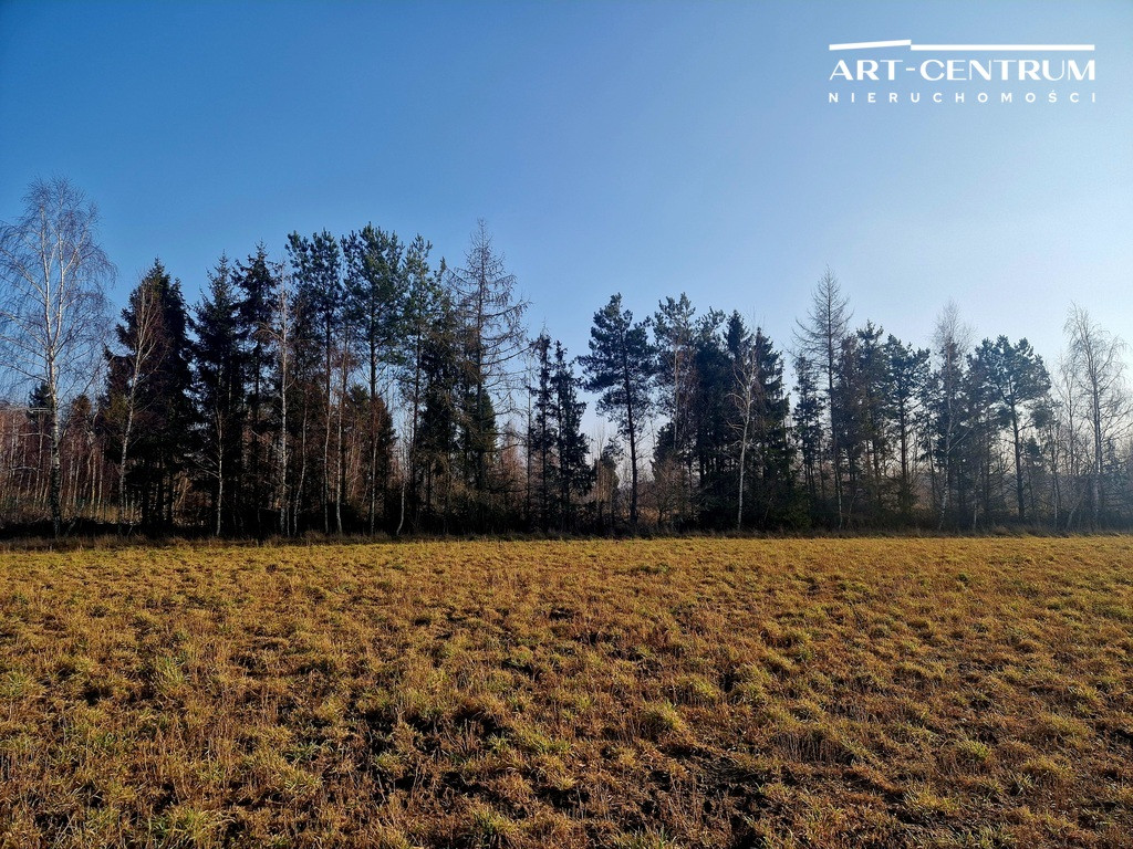 Land Plot for sale, kujawsko-pomorskie bydgoski (Osielsko, Poland)