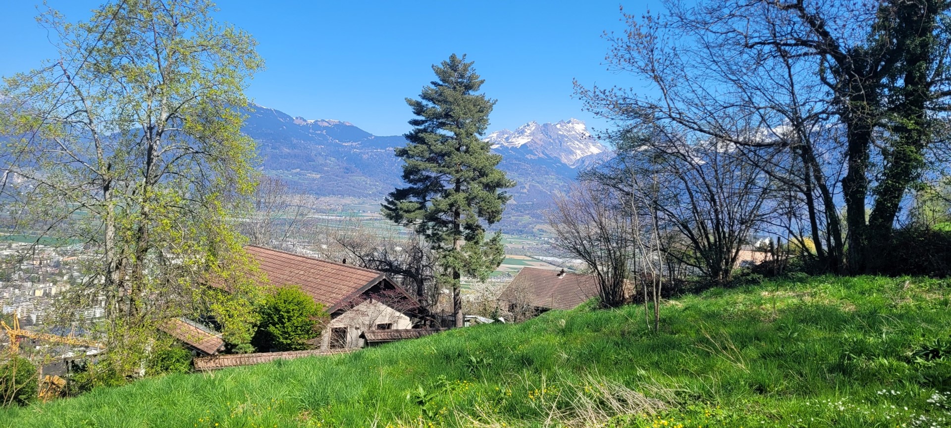 Land for sale in Choëx