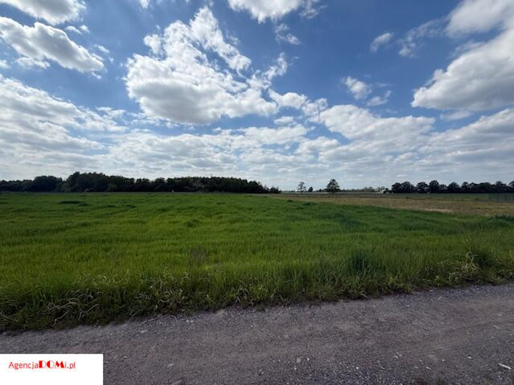 Land Plot for sale, mazowieckie warszawski zachodni (Błonie, Poland)