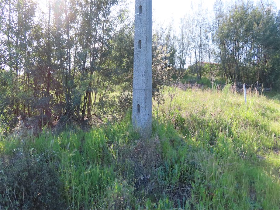 Magnificent Organic property with a Legal House intended for habitation, built before 1951 with an urban land registry document.…