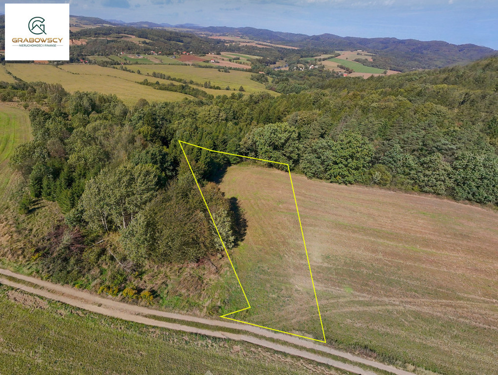 Land Plot for sale, dolnośląskie kłodzki (Klodzko, Poland)