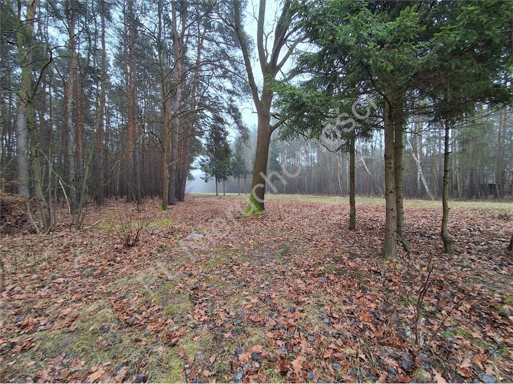 Land Plot for sale, mazowieckie pruszkowski (Nadarzyn, Poland)