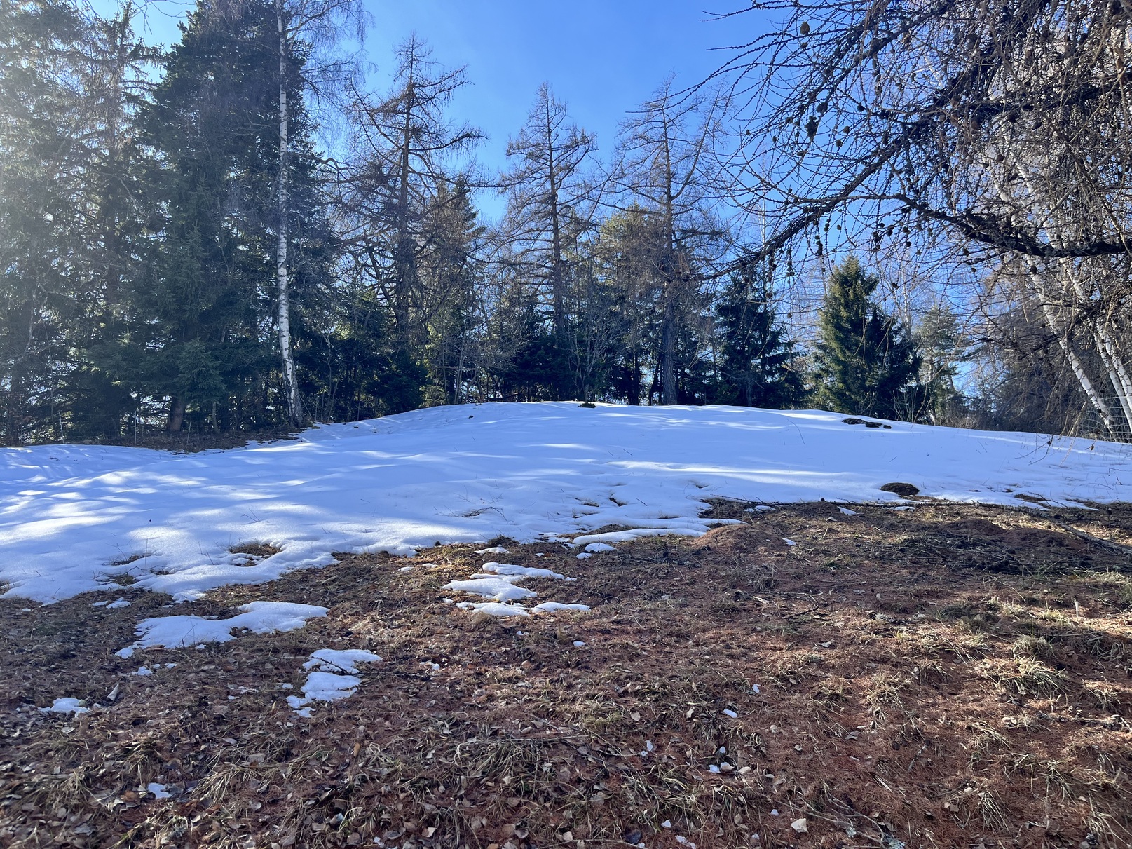 Plot of land / 1'466 m2 / Mayens de Chamoson / Ref. 10265556 / SOLE AGENT